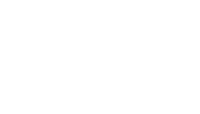 Nixu cybersecurity white transparent small